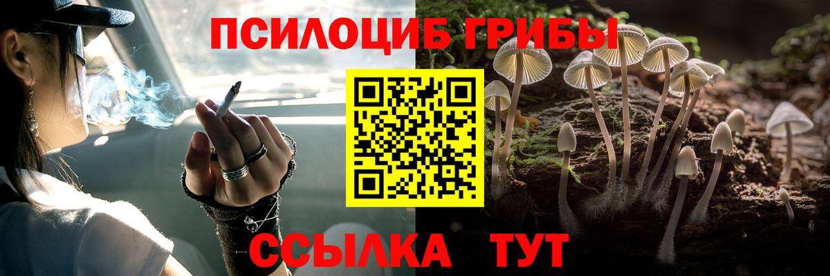 Псилоцибиновые грибы мицелий  Вход с VPN  Коломна 