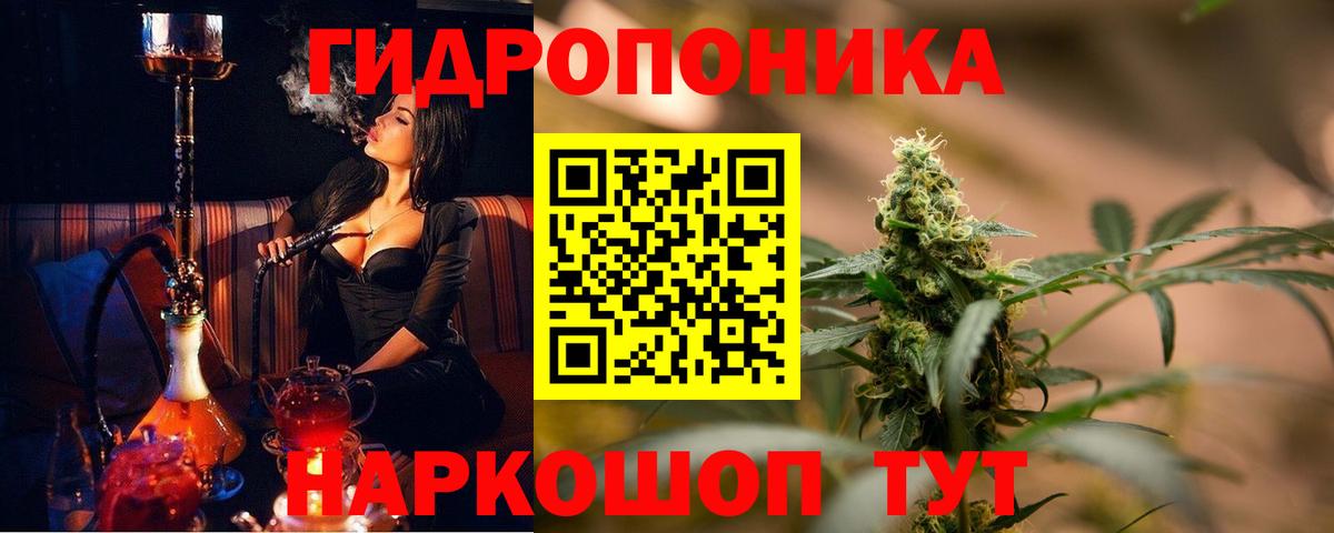 Бошки Шишки планчик Коломна
